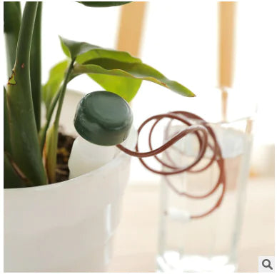 Automatic Plant Watering System